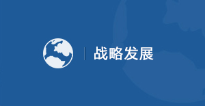 战略发展