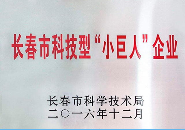 长春市科技型小巨人企业